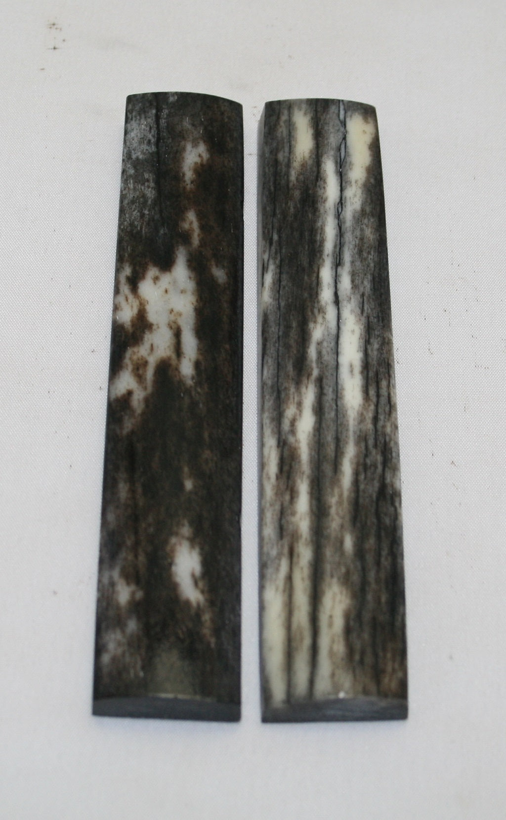 NB102MF19  Giraffe Bone Scales