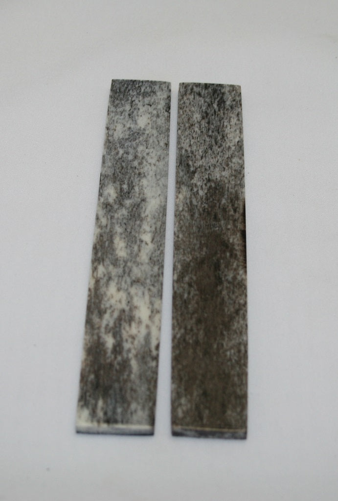 NB102NL16  Giraffe Bone Scales