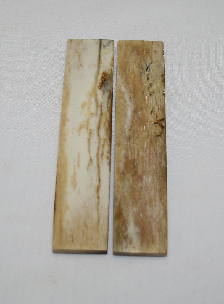 NB103F35  Giraffe Bone Scales