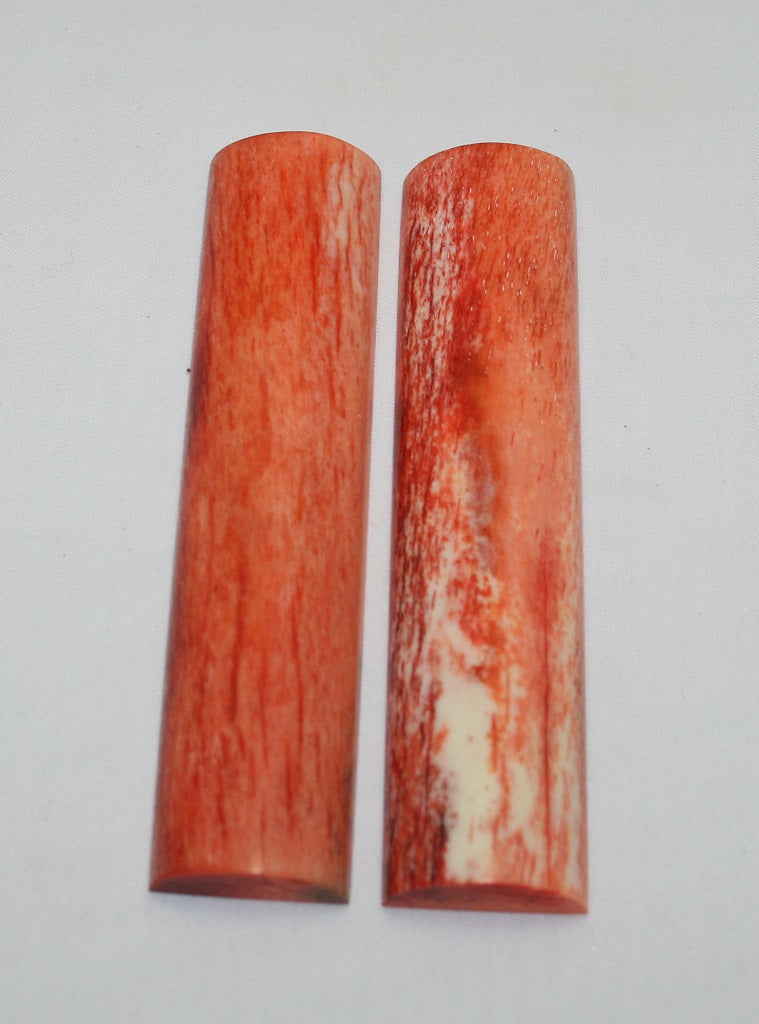 NB103F75  Giraffe Bone Scales