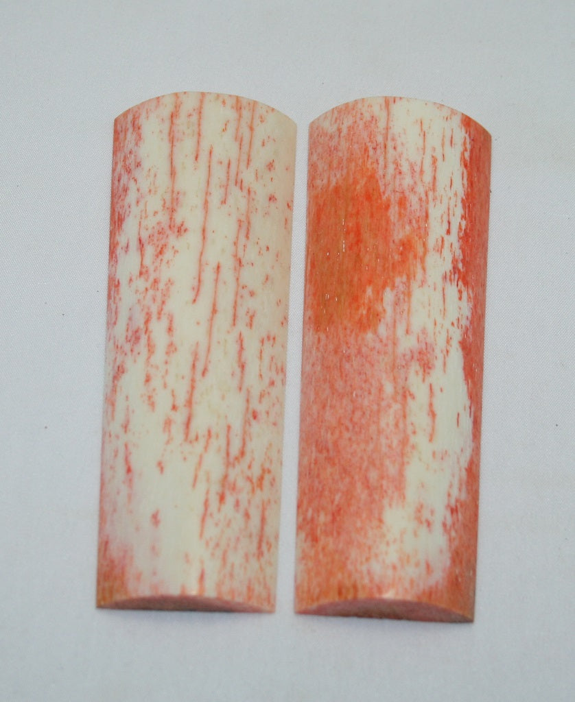 NB104AYA17  Giraffe Bone Scales