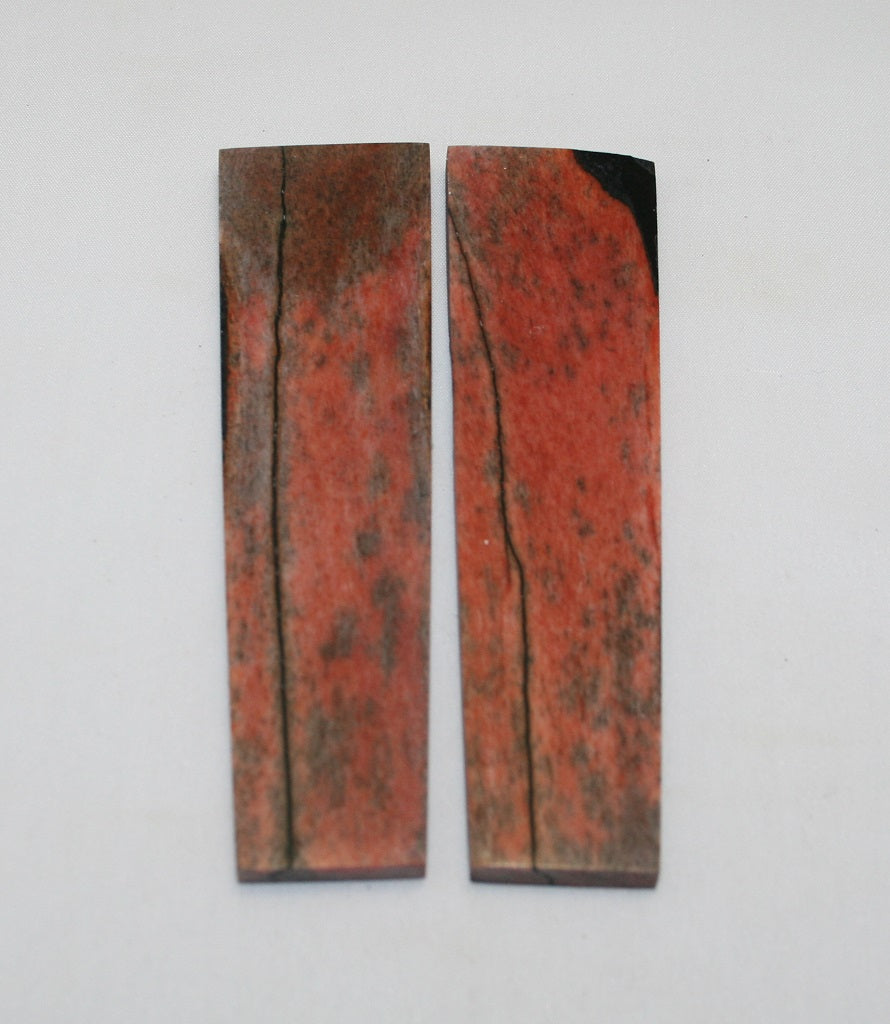 NB104AYA29  Giraffe Bone Scales