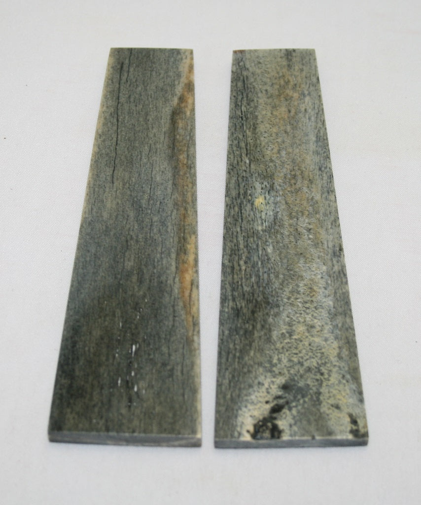 NB104AYA47  Giraffe Bone Scales