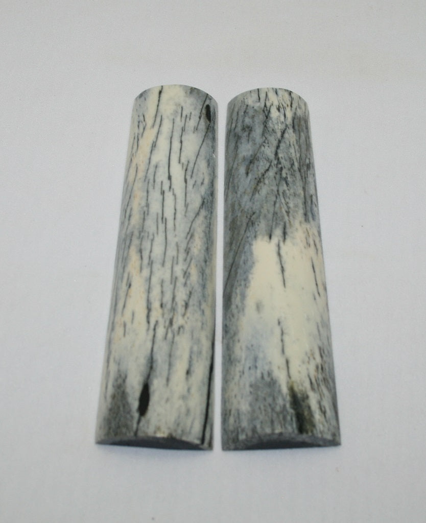 NB104F108  Giraffe Bone Scales