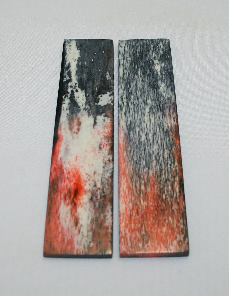 NB104F109  Giraffe Bone Scales