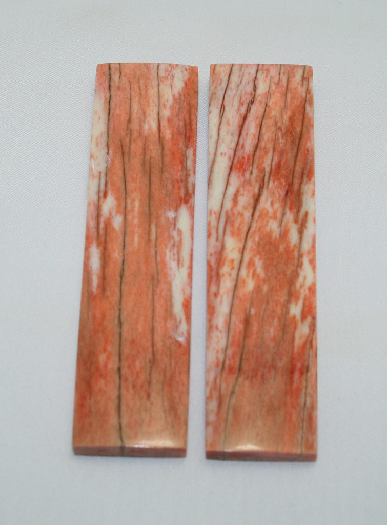 NB104F12  Giraffe Bone Scales