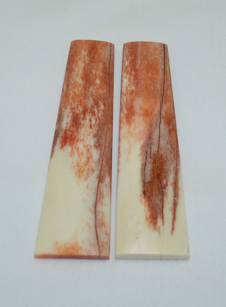 NB104F15  Giraffe Bone Scales