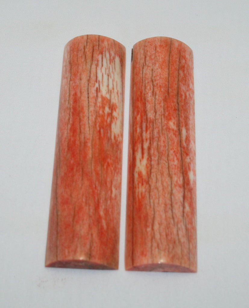 NB104F17  Giraffe Bone Scales