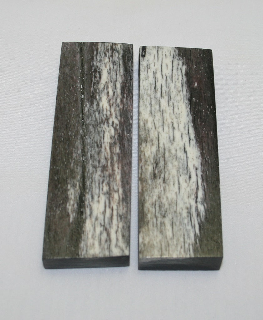 NB104F19  Giraffe Bone Scales