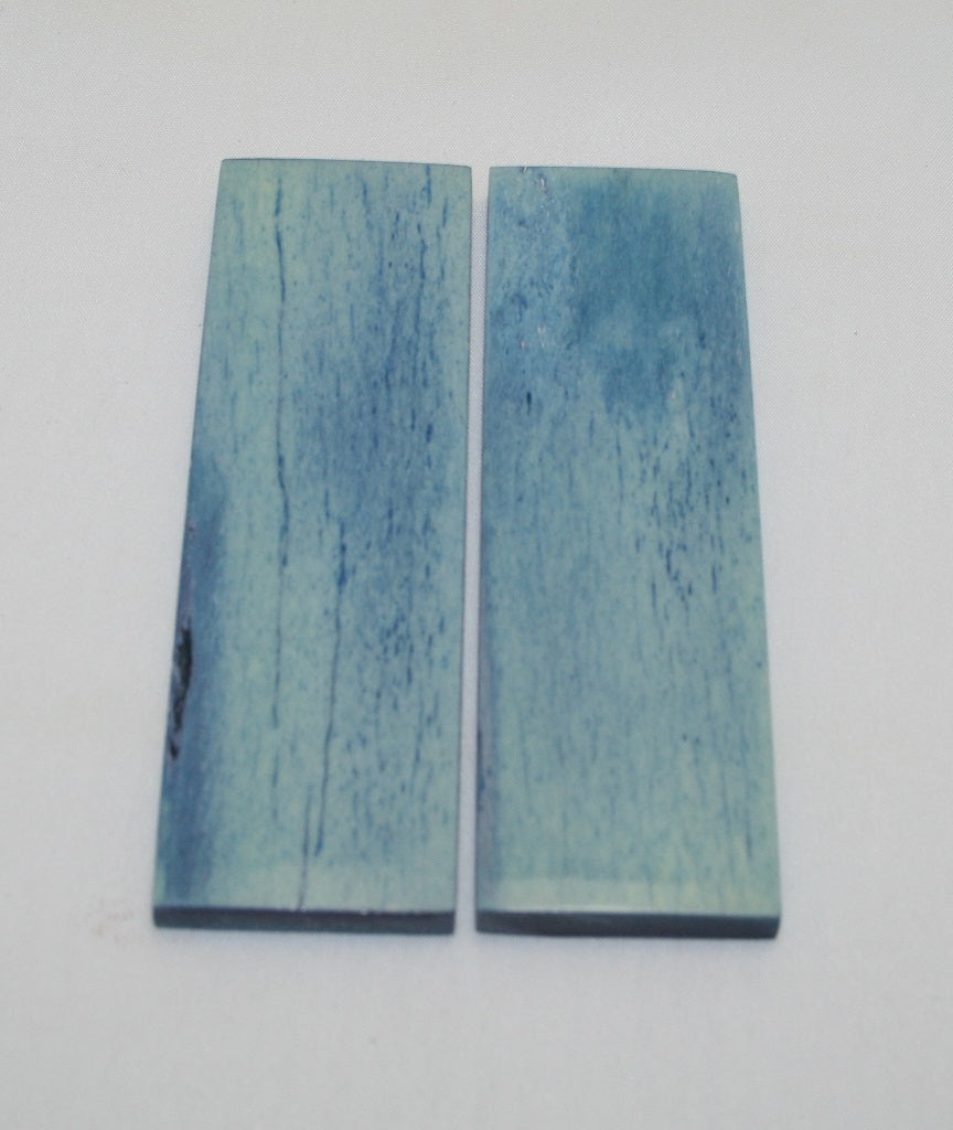 NB104F1  Giraffe Bone Scales