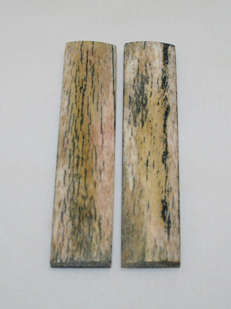 NB104F20  Giraffe Bone Scales