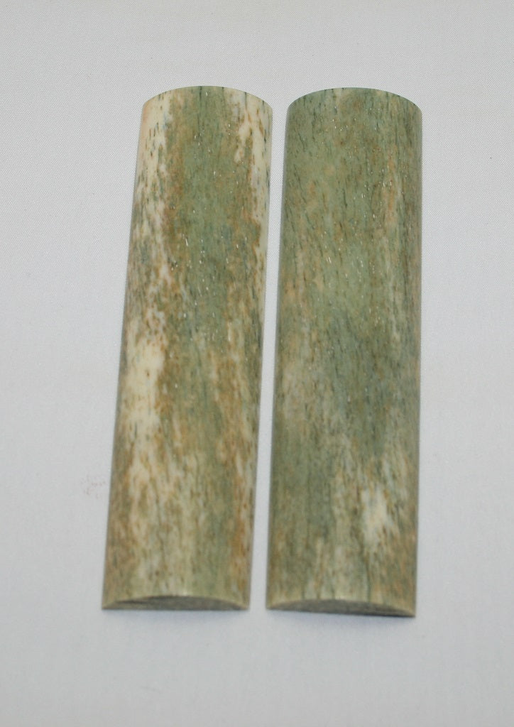 NB104F21  Giraffe Bone Scales