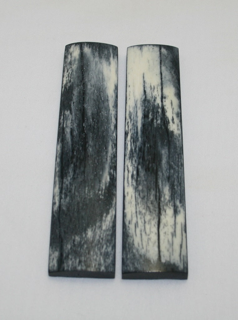 NB104F22  Giraffe Bone Scales