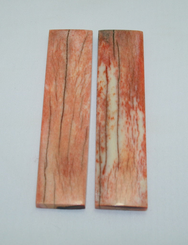 NB104F27  Giraffe Bone Scales