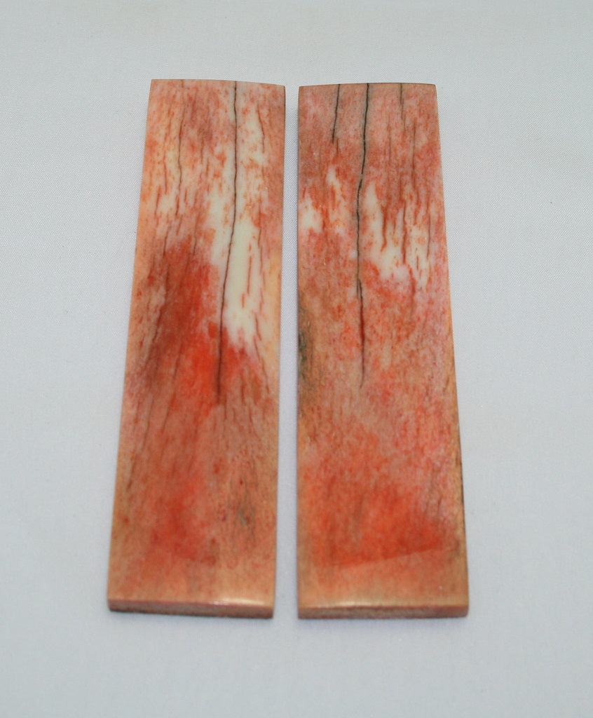 NB104F33  Giraffe Bone Scales