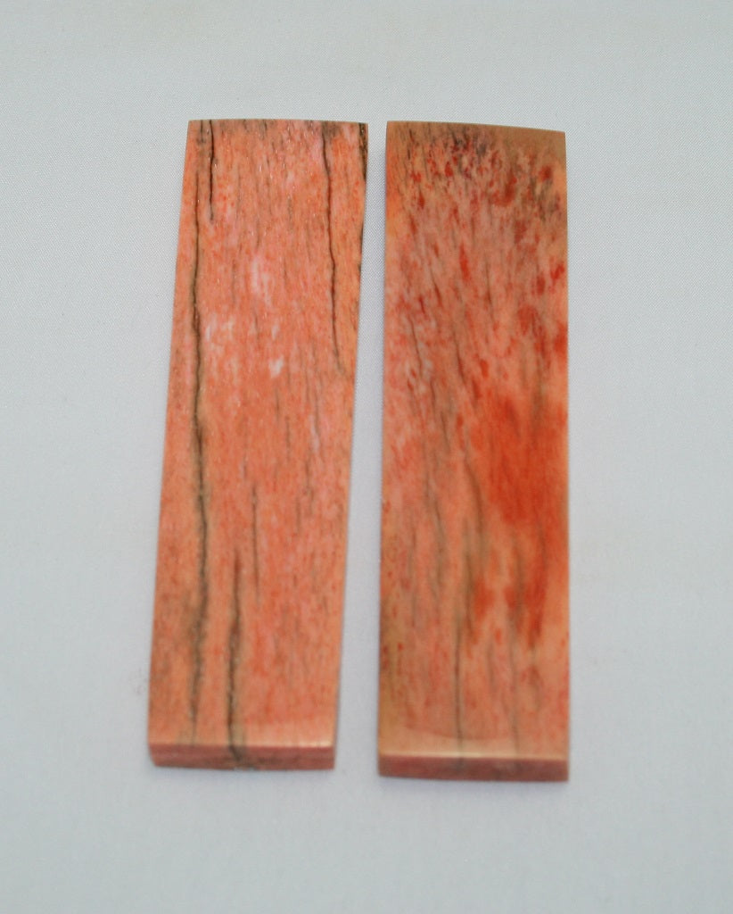 NB104F36  Giraffe Bone Scales