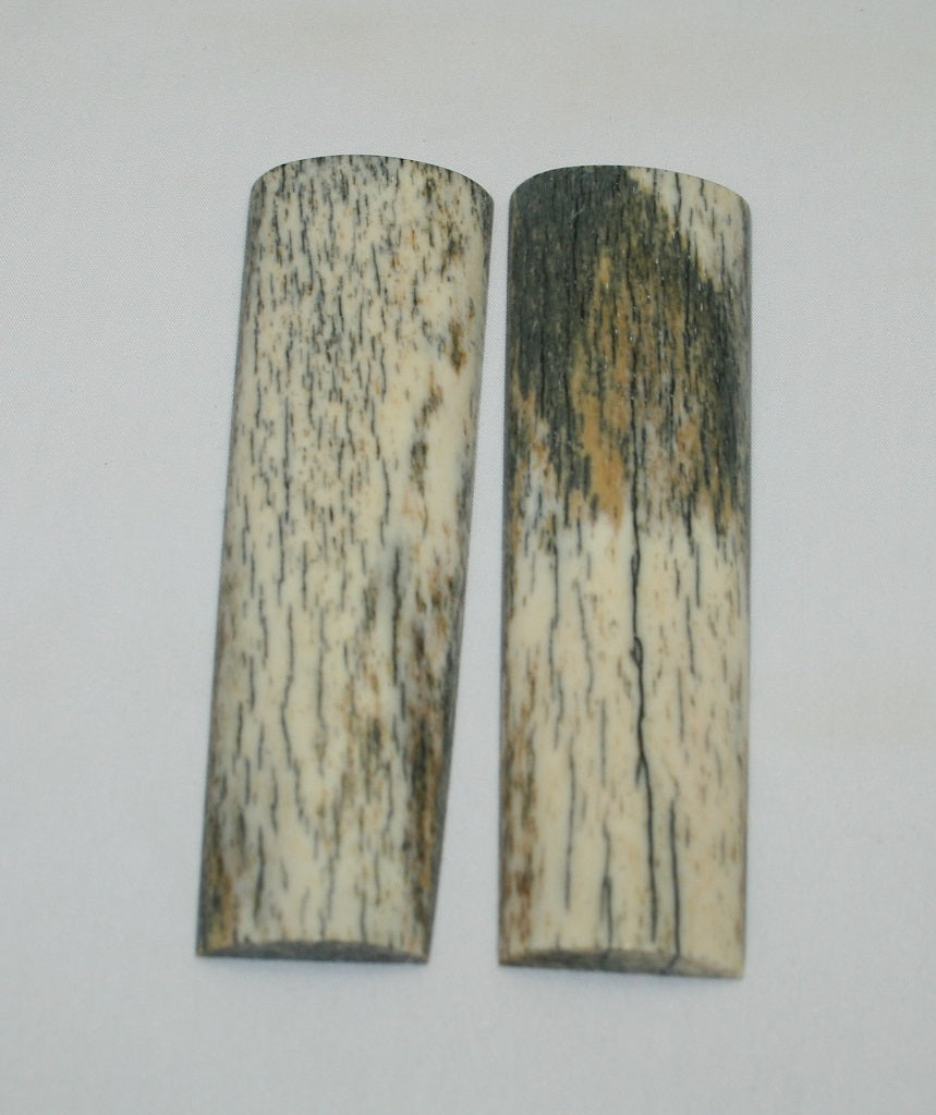 NB104F39  Giraffe Bone Scales