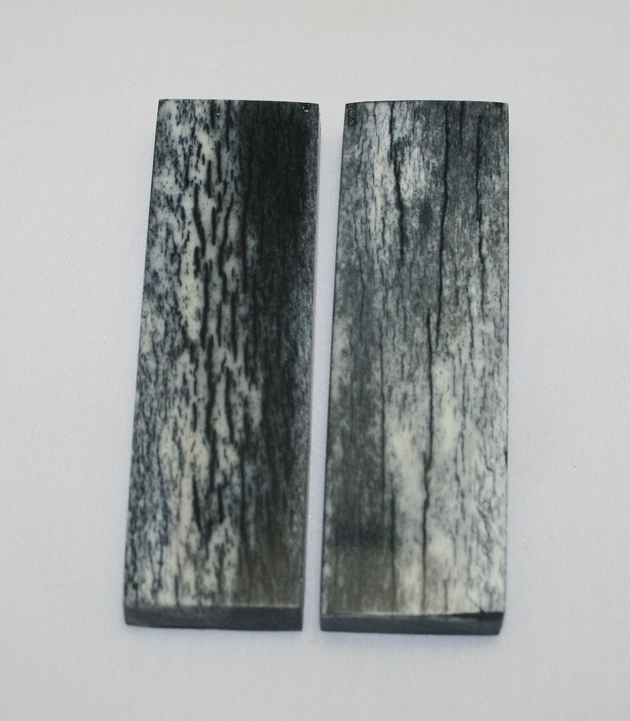 NB104F40  Giraffe Bone Scales