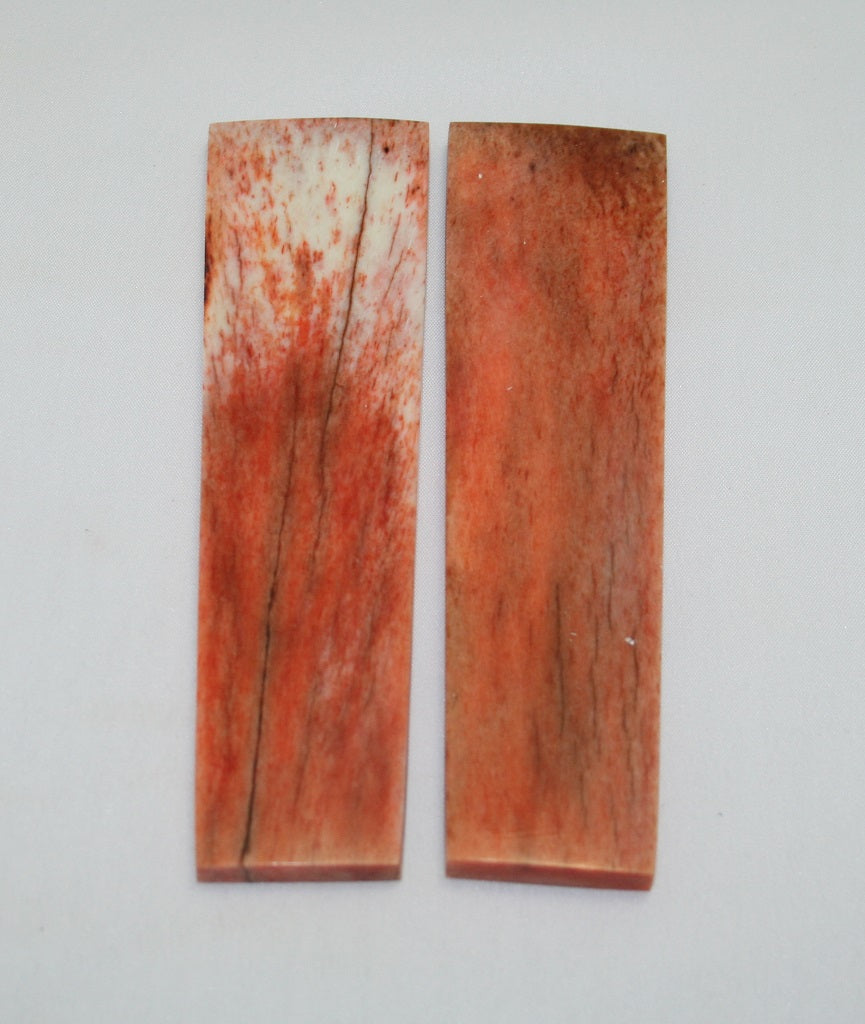 NB104F49  Giraffe Bone Scales