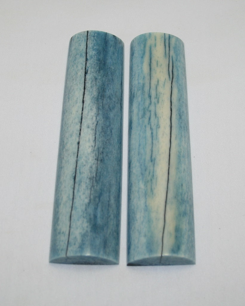 NB104F54  Giraffe Bone Scales