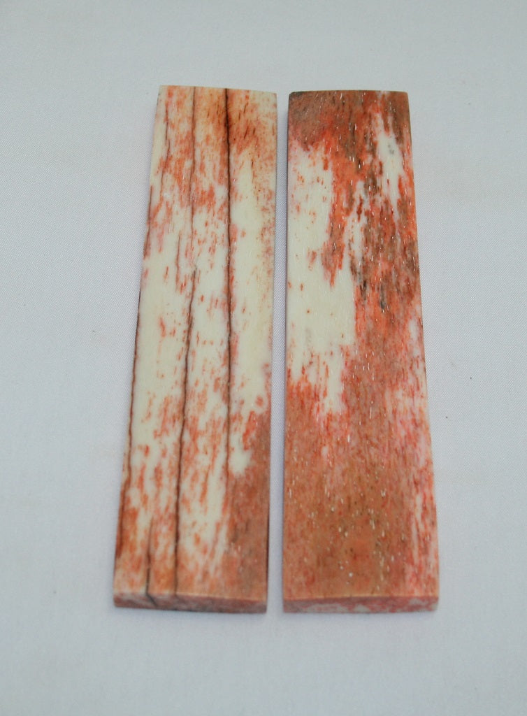 NB104F60  Giraffe Bone Scales