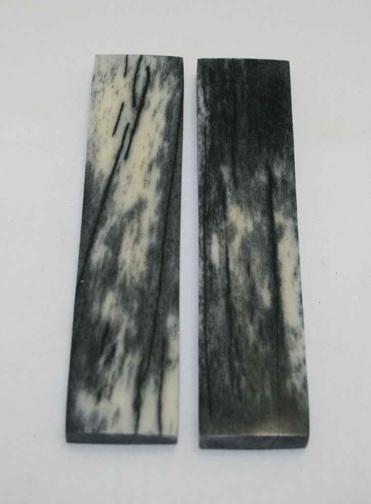 NB104F61  Giraffe Bone Scales