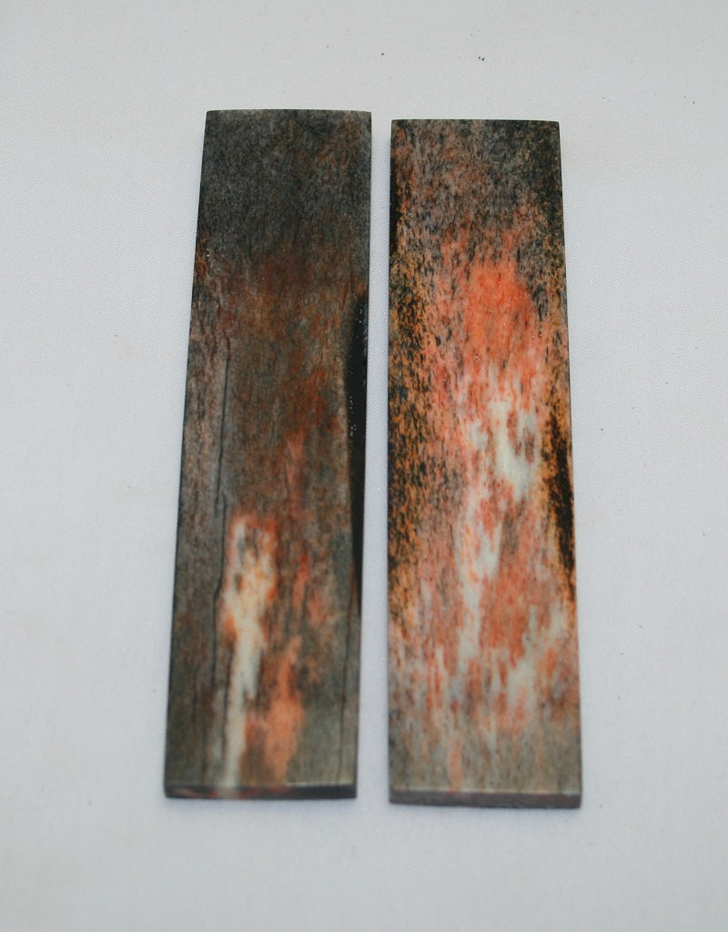 NB104F78  Giraffe Bone Scales