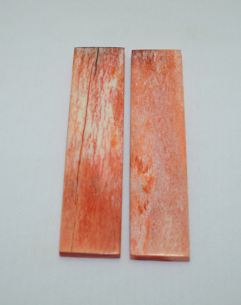 NB104F84  Giraffe Bone Scales