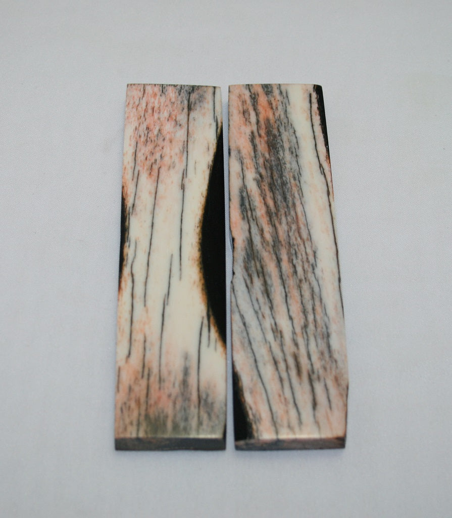 NB104LT23  Giraffe Bone Scales