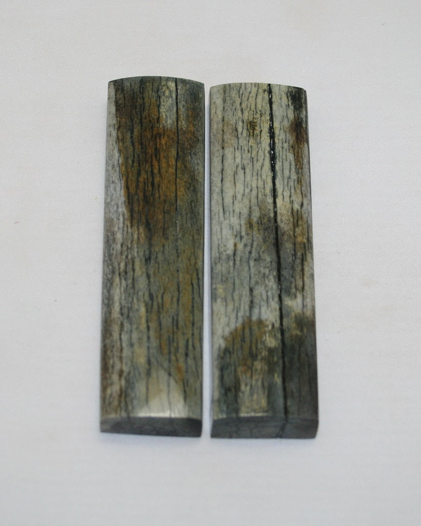 NB104MJ117  Giraffe Bone Scales