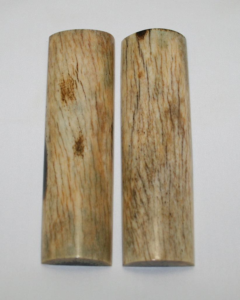 NB105AY6  Giraffe Bone Scales