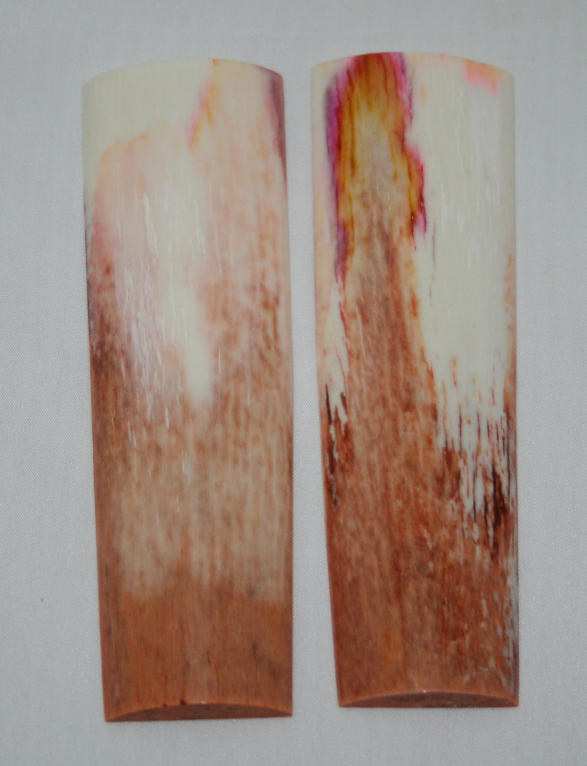 nb105a3 giraffe bone scales 1 NB105A33