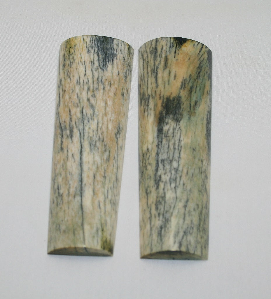 NB105F10  Giraffe Bone Scales