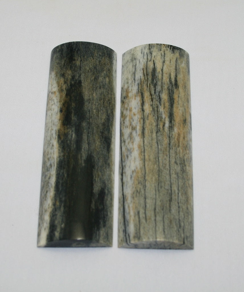 NB105F16  Giraffe Bone Scales