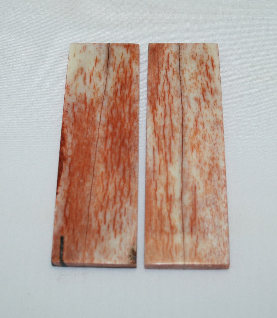 NB105F17  Giraffe Bone Scales