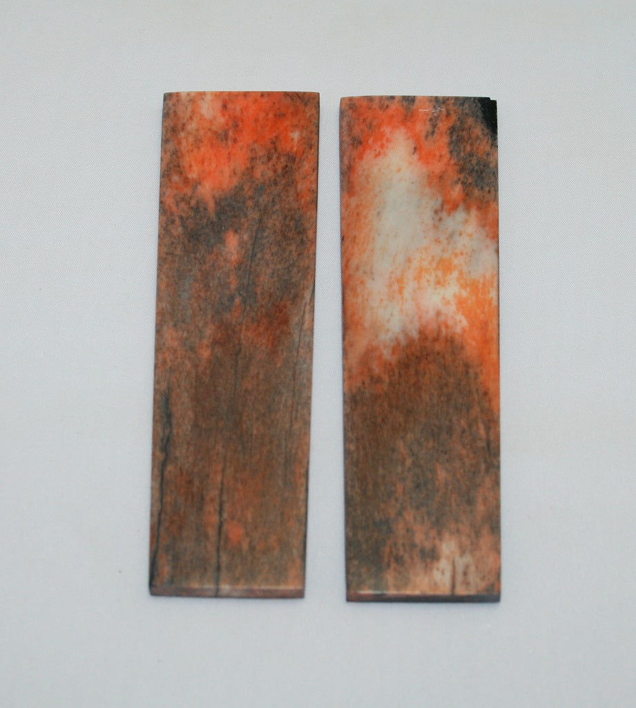 NB105F24  Giraffe Bone Scales