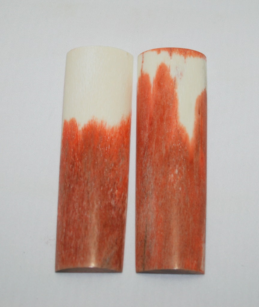 NB105F37  Giraffe Bone Scales