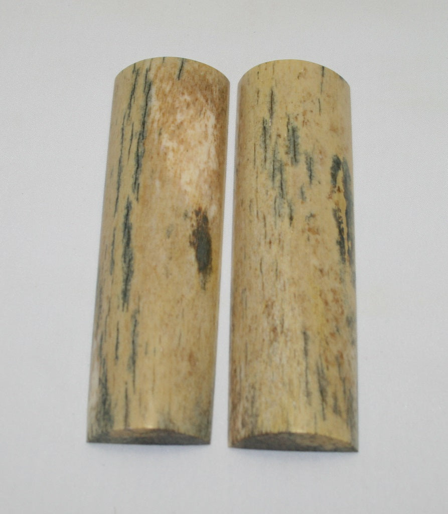 NB105F40  Giraffe Bone Scales