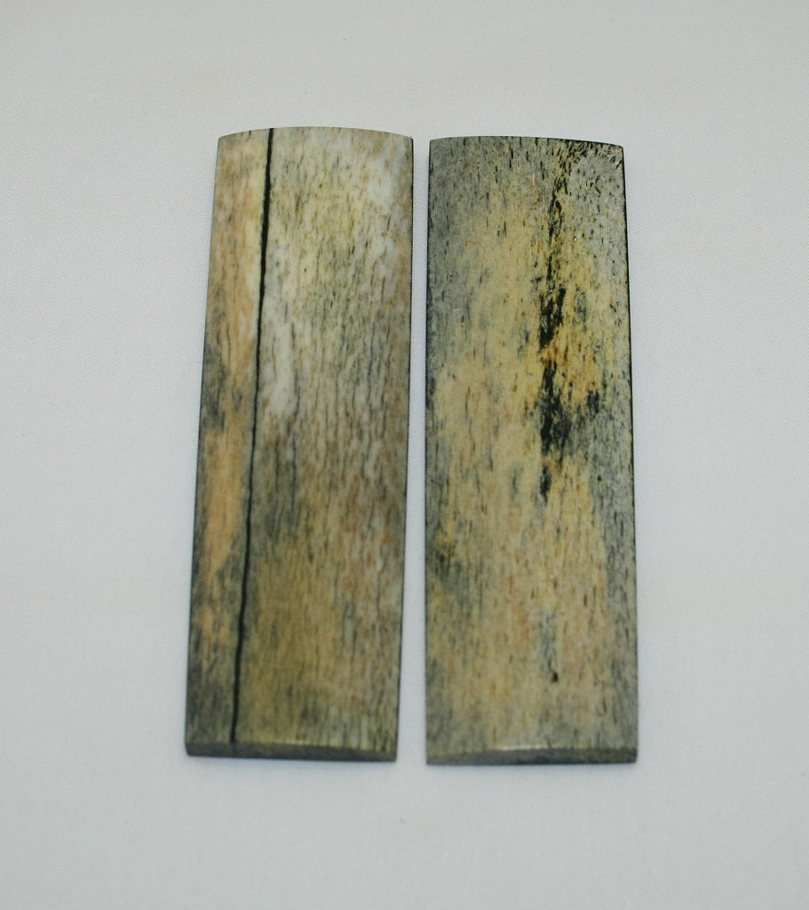 NB105F41  Giraffe Bone Scales