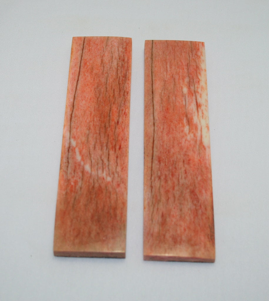 NB105F4  Giraffe Bone Scales