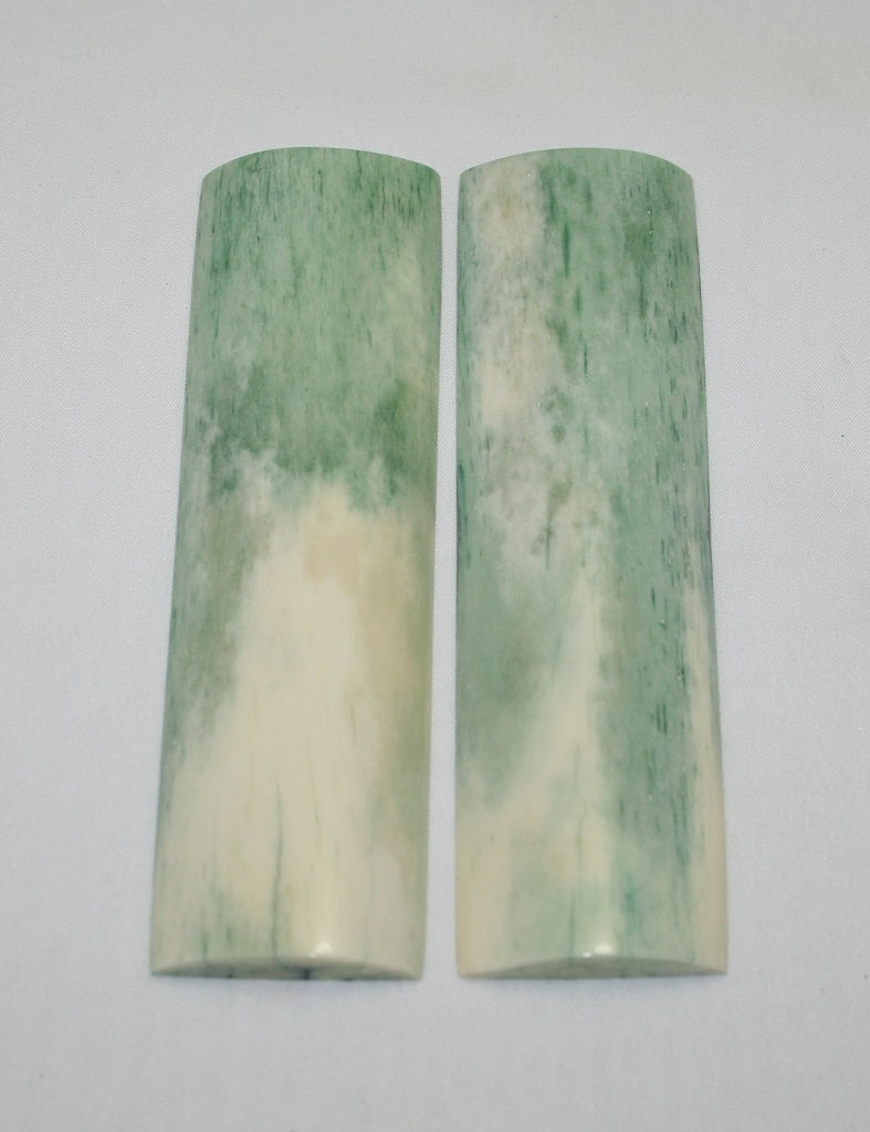 NB105F77  Giraffe Bone Scales