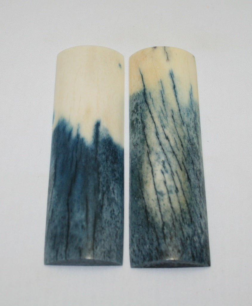 NB105F80  Giraffe Bone Scales