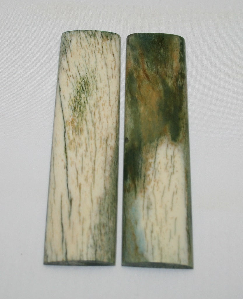 NB105F8  Giraffe Bone Scales