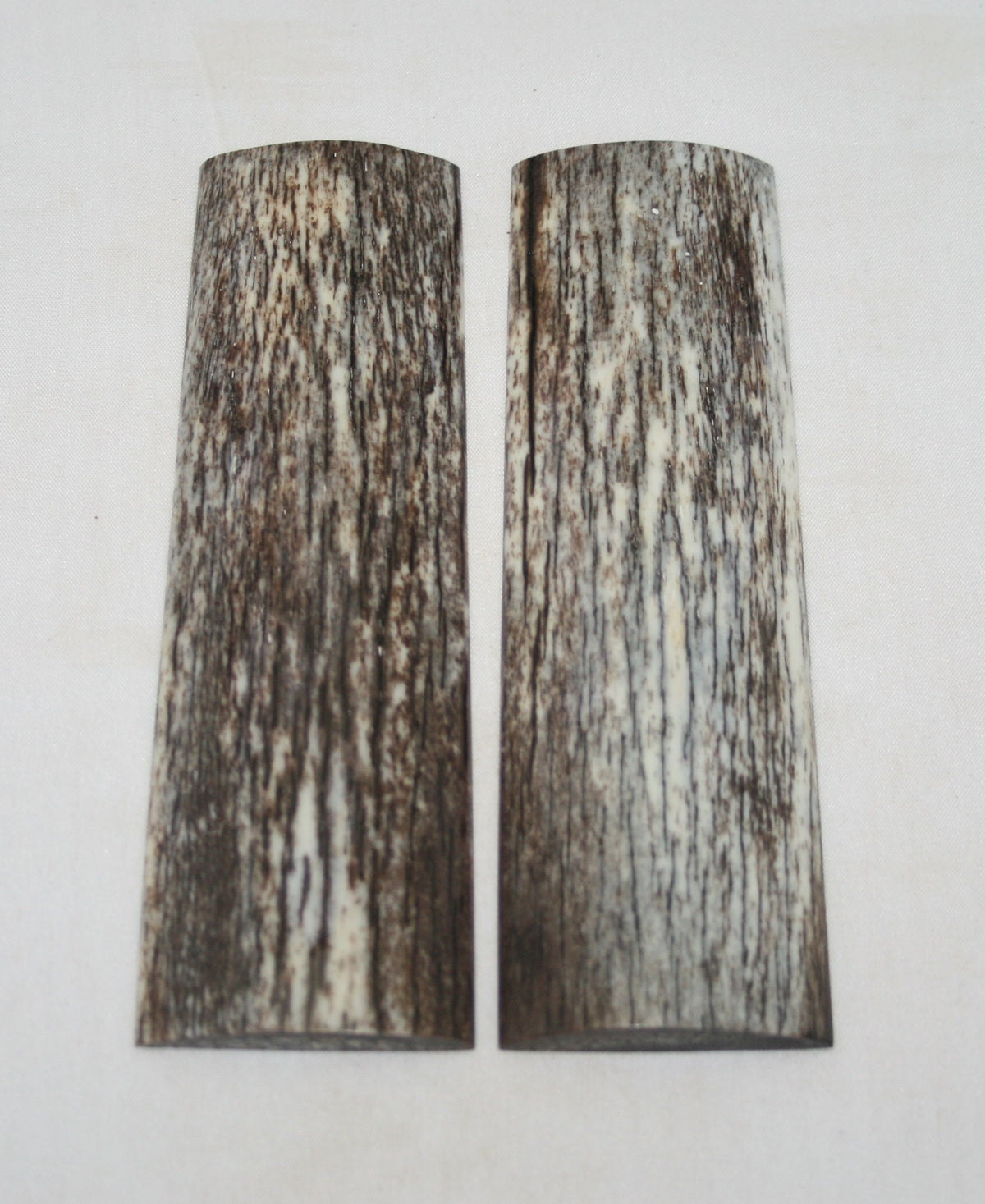 NB105S13  Giraffe Bone Scales