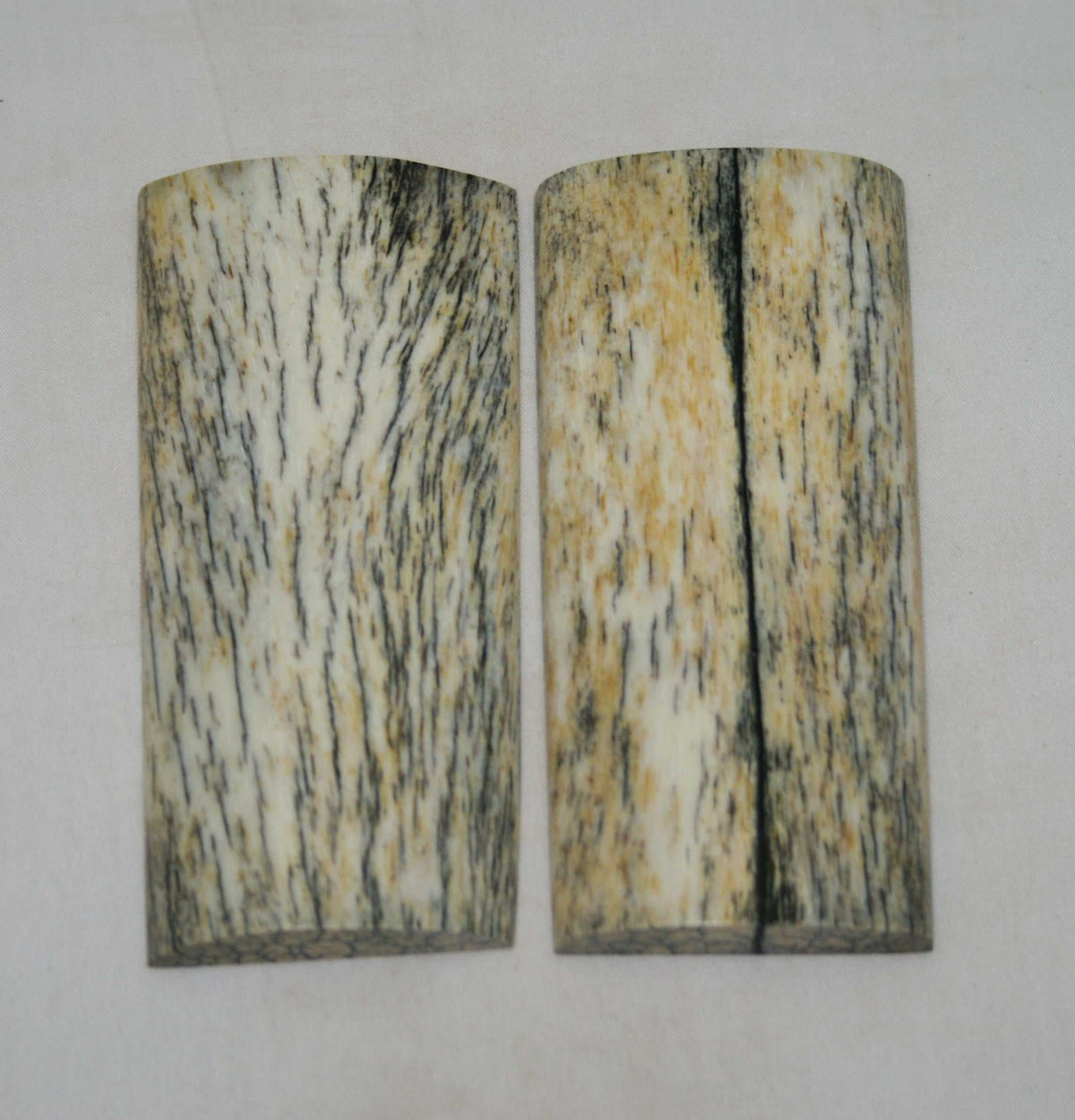 NB105S92  Giraffe Bone Scales