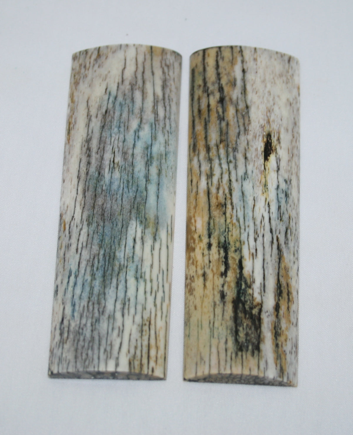 NB105T62 Giraffe Bone Scales