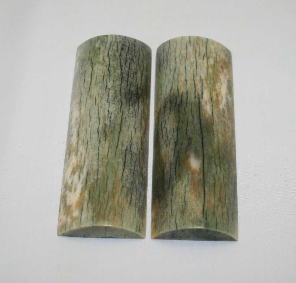 NB108F31 Giraffe Bone Scales Set