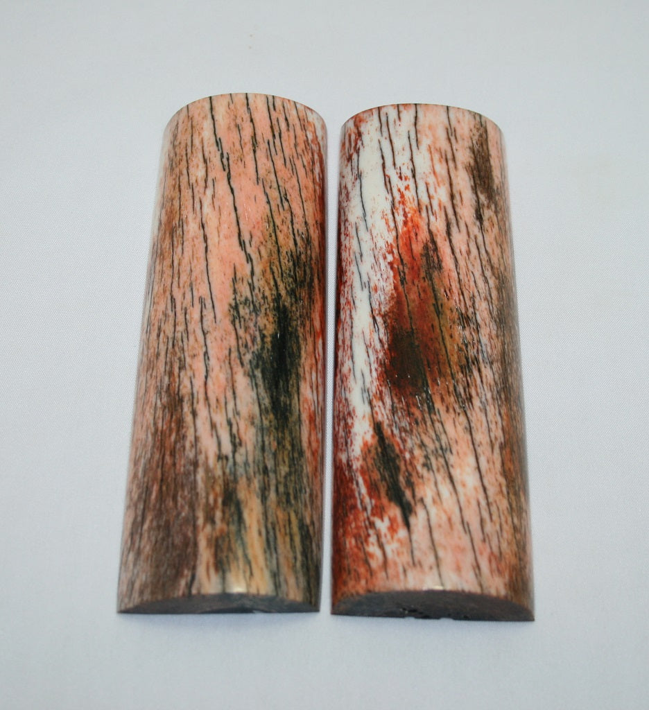 NB108LT13 Giraffe Bone Scales Set