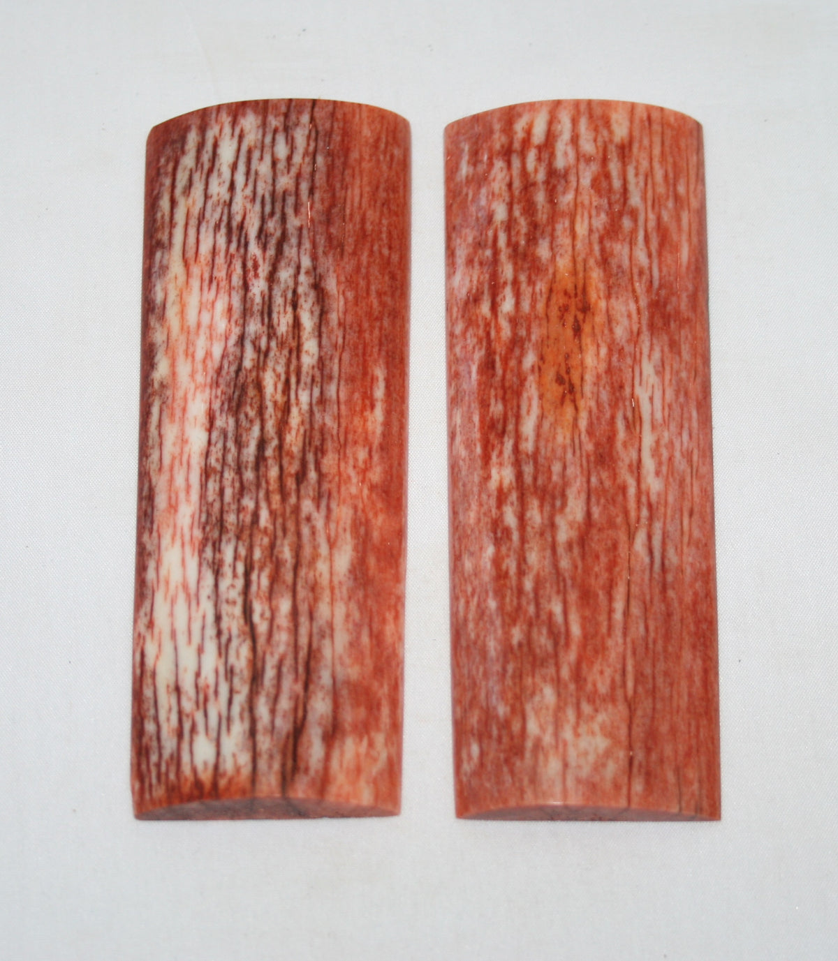 NB108L103 Giraffe Bone Scales Set