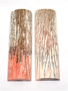 nb108m167 giraffe bone scales NB108M167